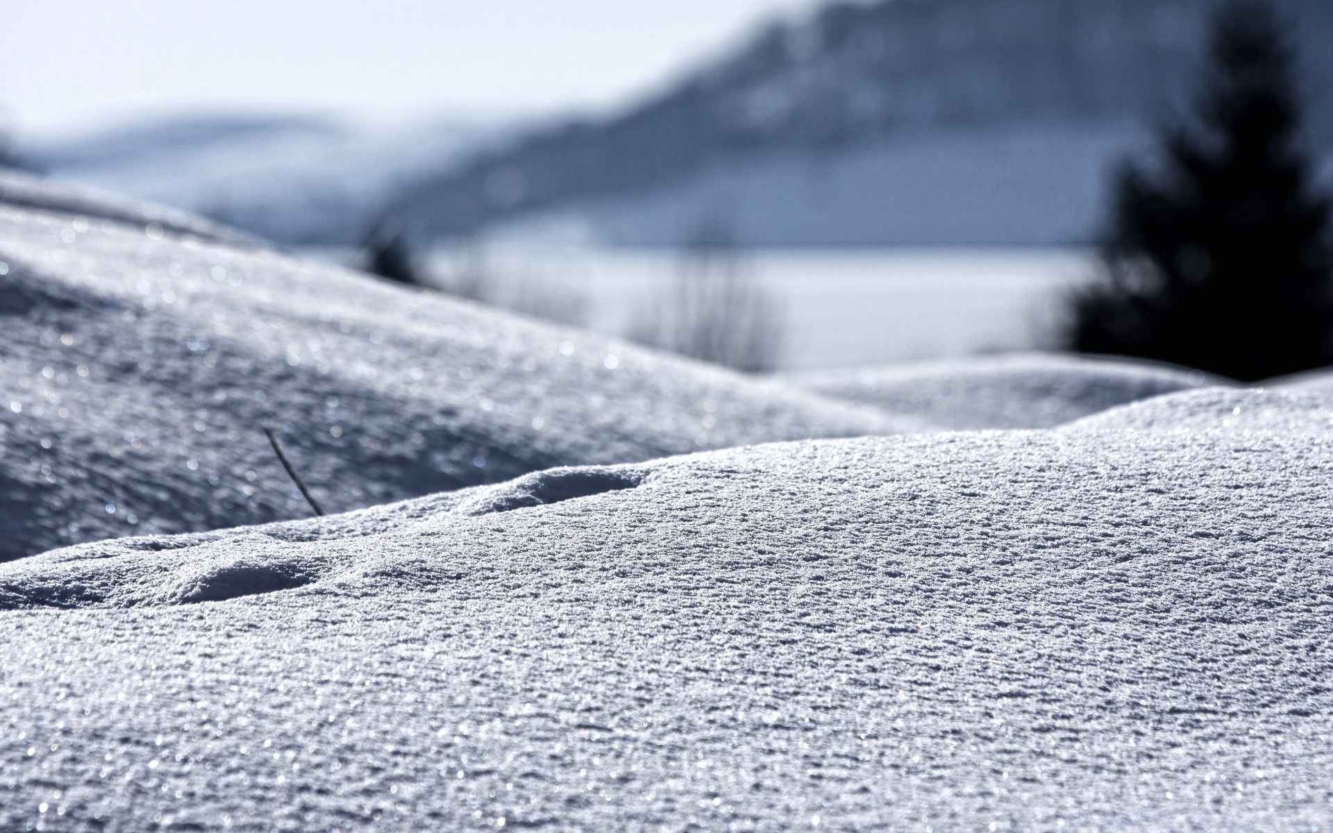 winter snow ice cold nature frozen frost landscape water outdoors travel icy frosty