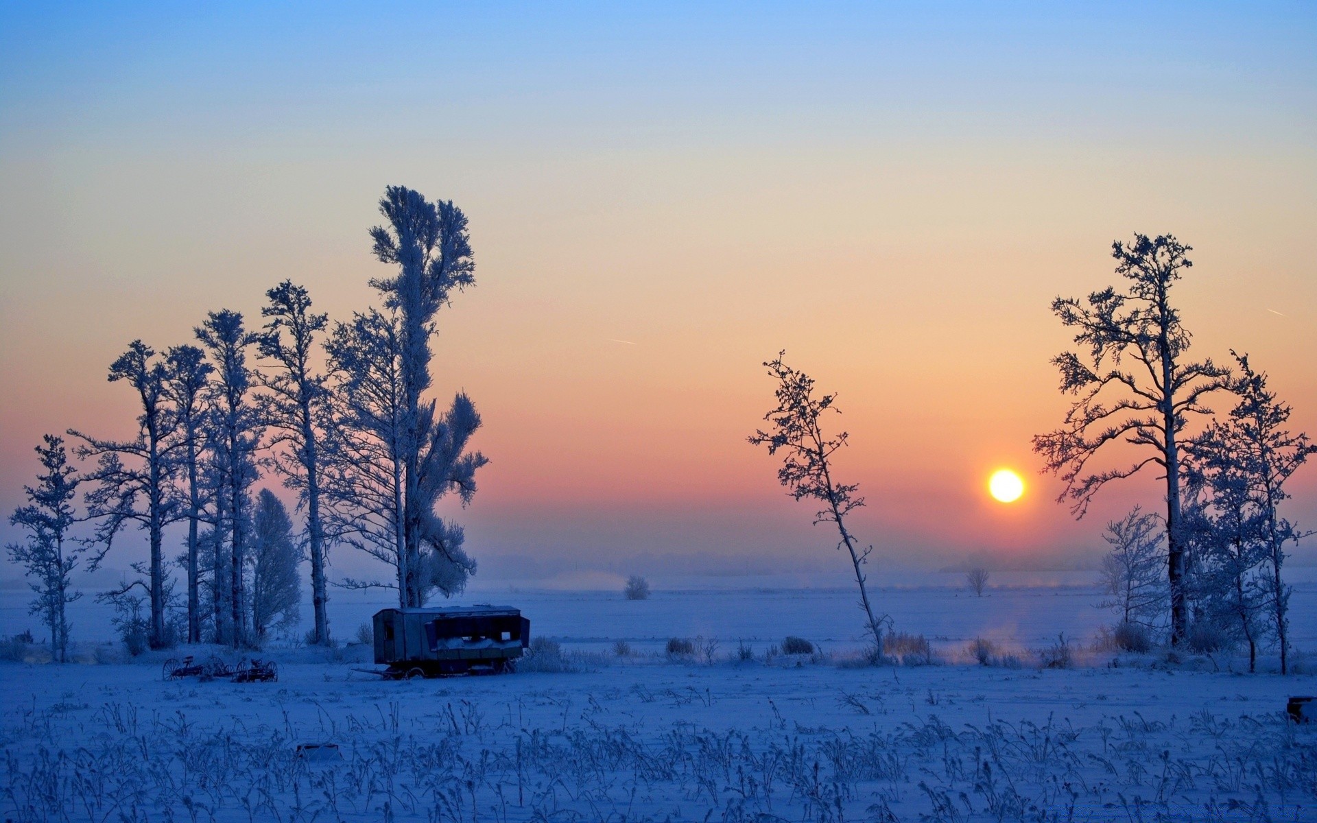 inverno neve albero paesaggio gelo alba tempo congelato natura freddo tramonto legno nebbia stagione sera all aperto cielo ghiaccio bel tempo