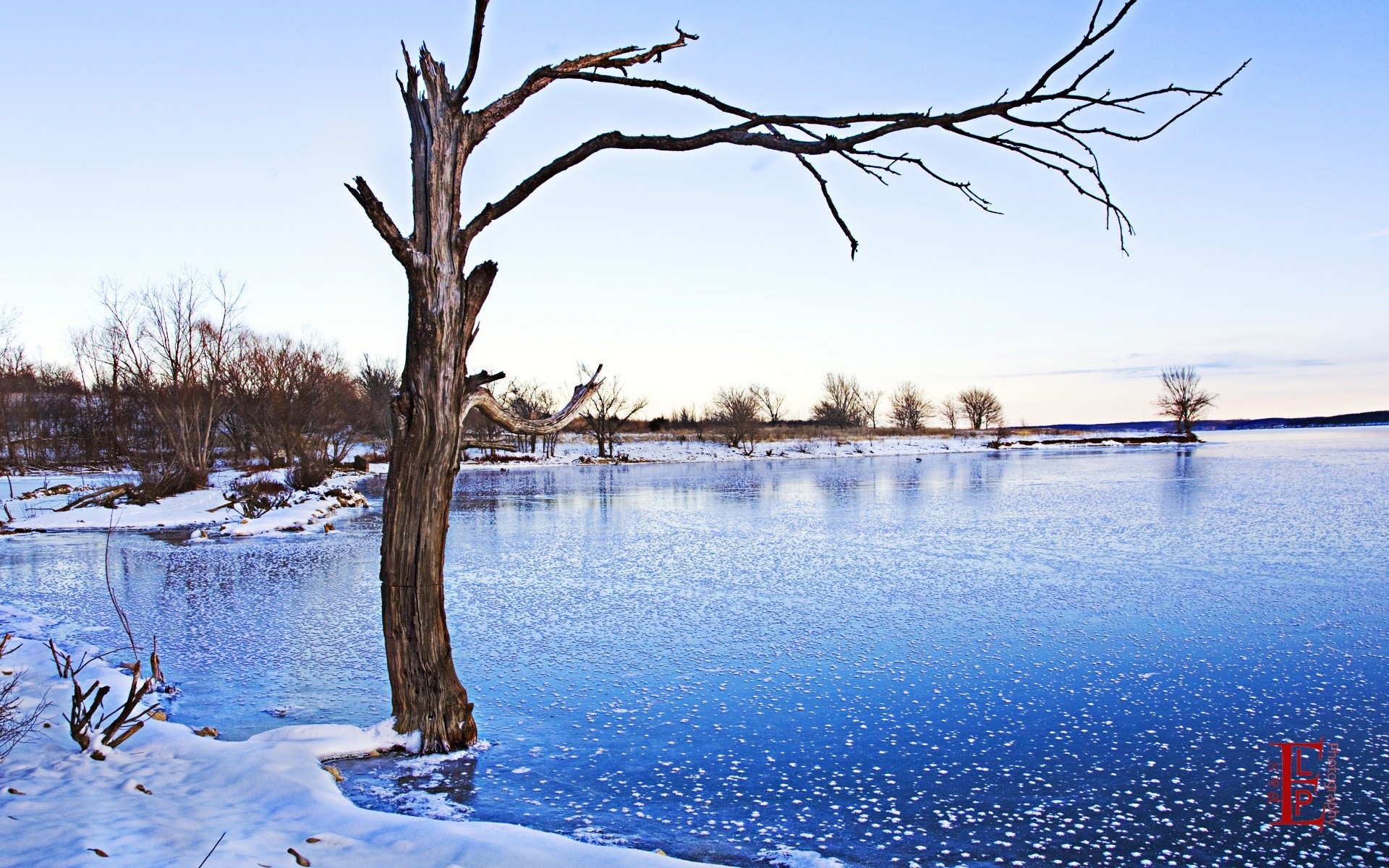 hiver neige arbre eau froid nature à l extérieur glace gel bois paysage lac congelé voyage ciel aube sang-froid