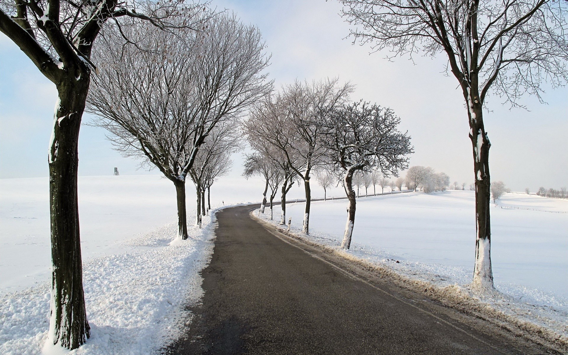 hiver neige froid gel arbre congelé paysage glace météo saison bois branche tempête de neige brouillard scénique route neige-blanc nature ruelle givré