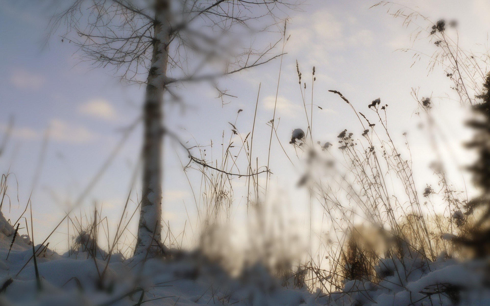 winter snow nature landscape frost tree outdoors wood cold dawn fog fall fair weather frozen sun ice sky weather light