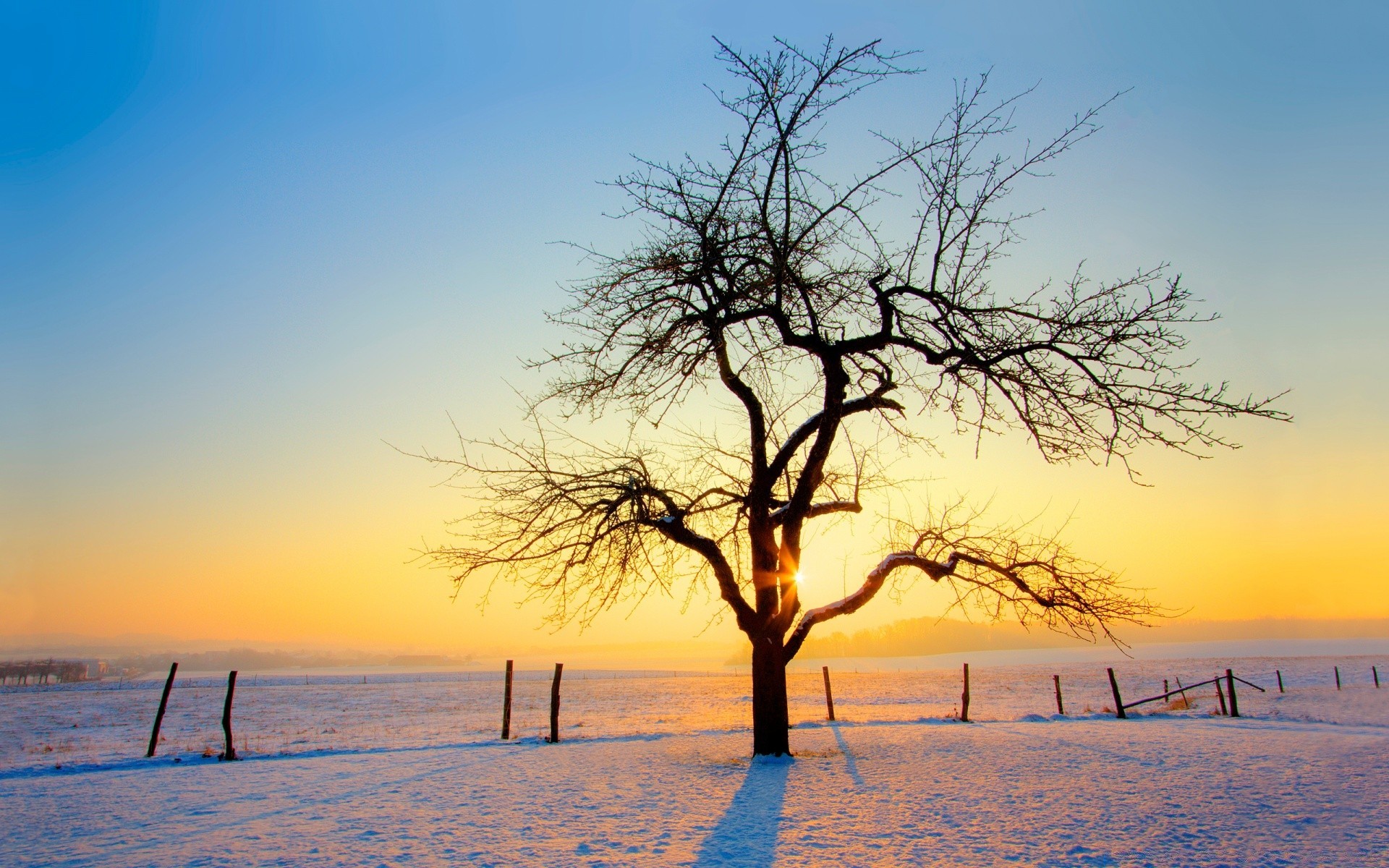 hiver paysage aube soleil coucher de soleil eau nature ciel plage arbre beau temps mer silhouette un soir été crépuscule