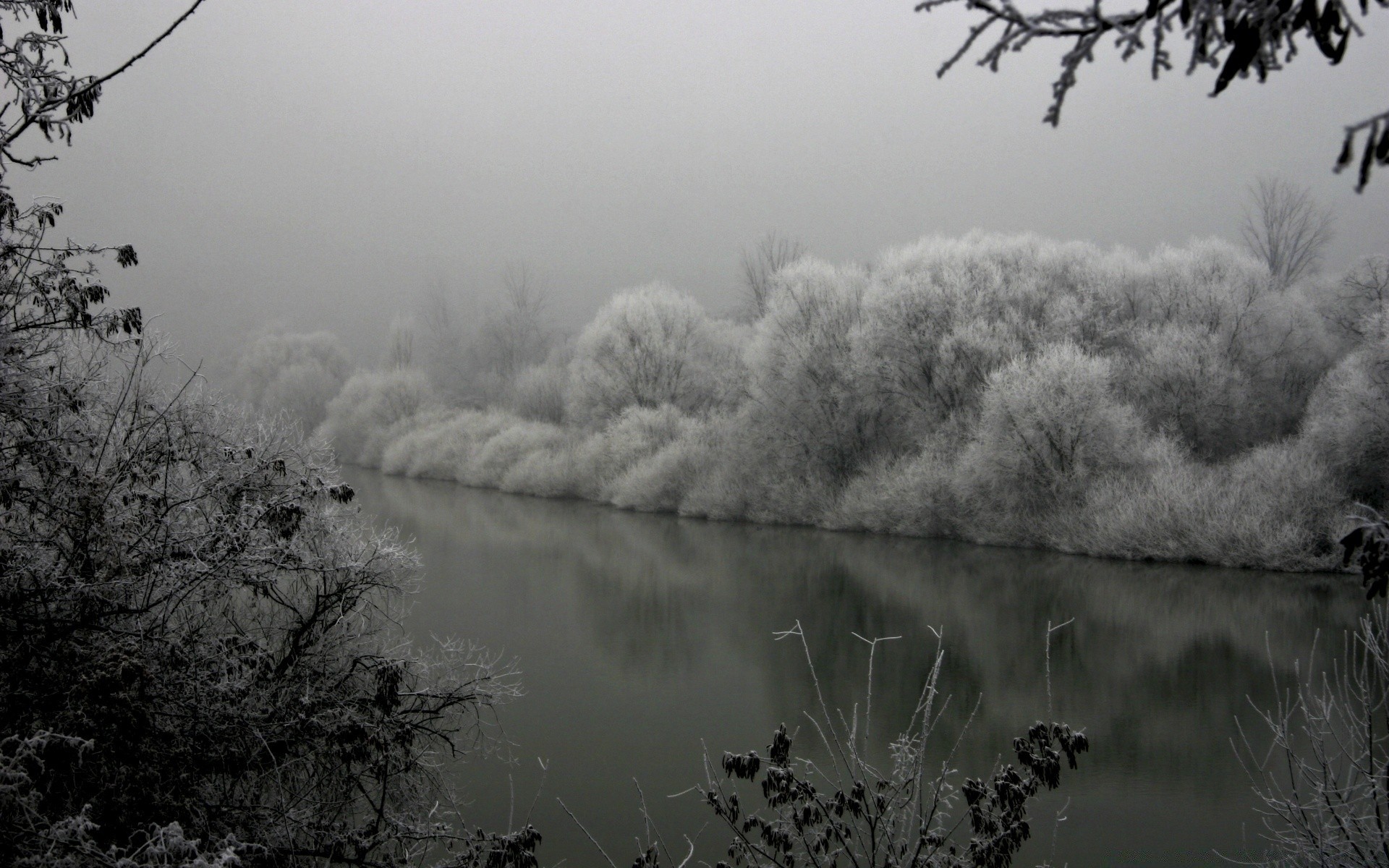 hiver arbre paysage brouillard brouillard aube monochrome nature ciel météo à l extérieur coucher de soleil lac automne bois eau lumière neige silhouette