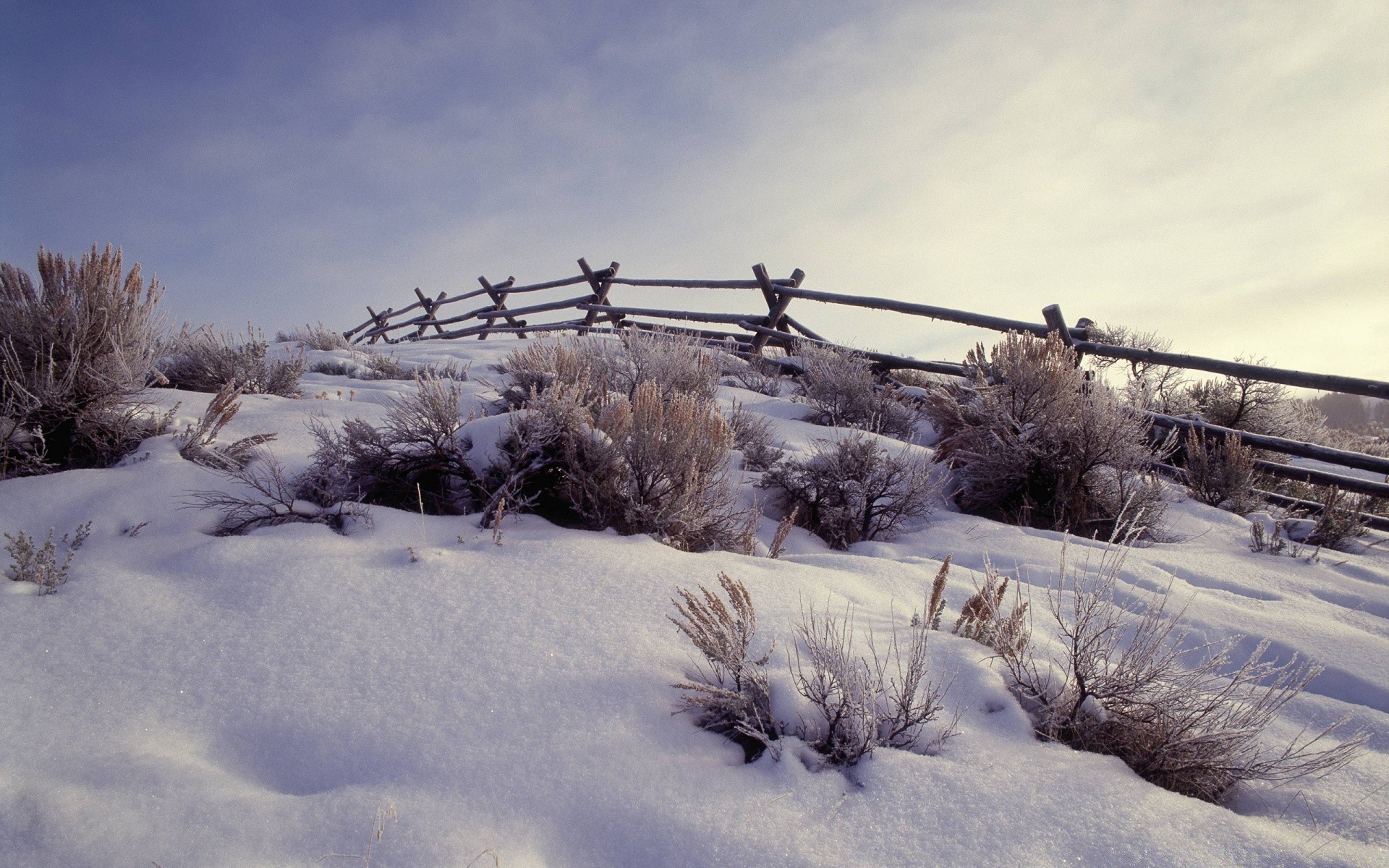 winter snow cold frost frozen landscape ice weather tree wood season sky nature dawn snow-white scenic fair weather outdoors mountain