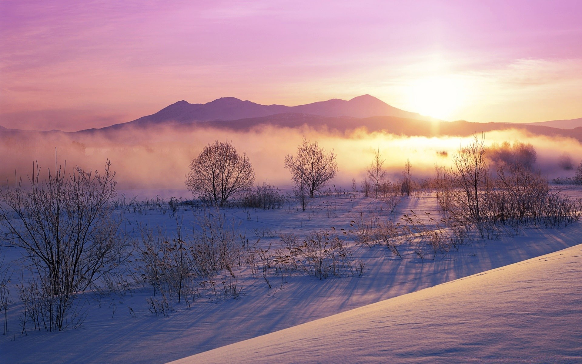 inverno alba paesaggio tramonto natura neve nebbia legno freddo bel tempo sera cielo all aperto tempo nebbia sole autunno legno gelo