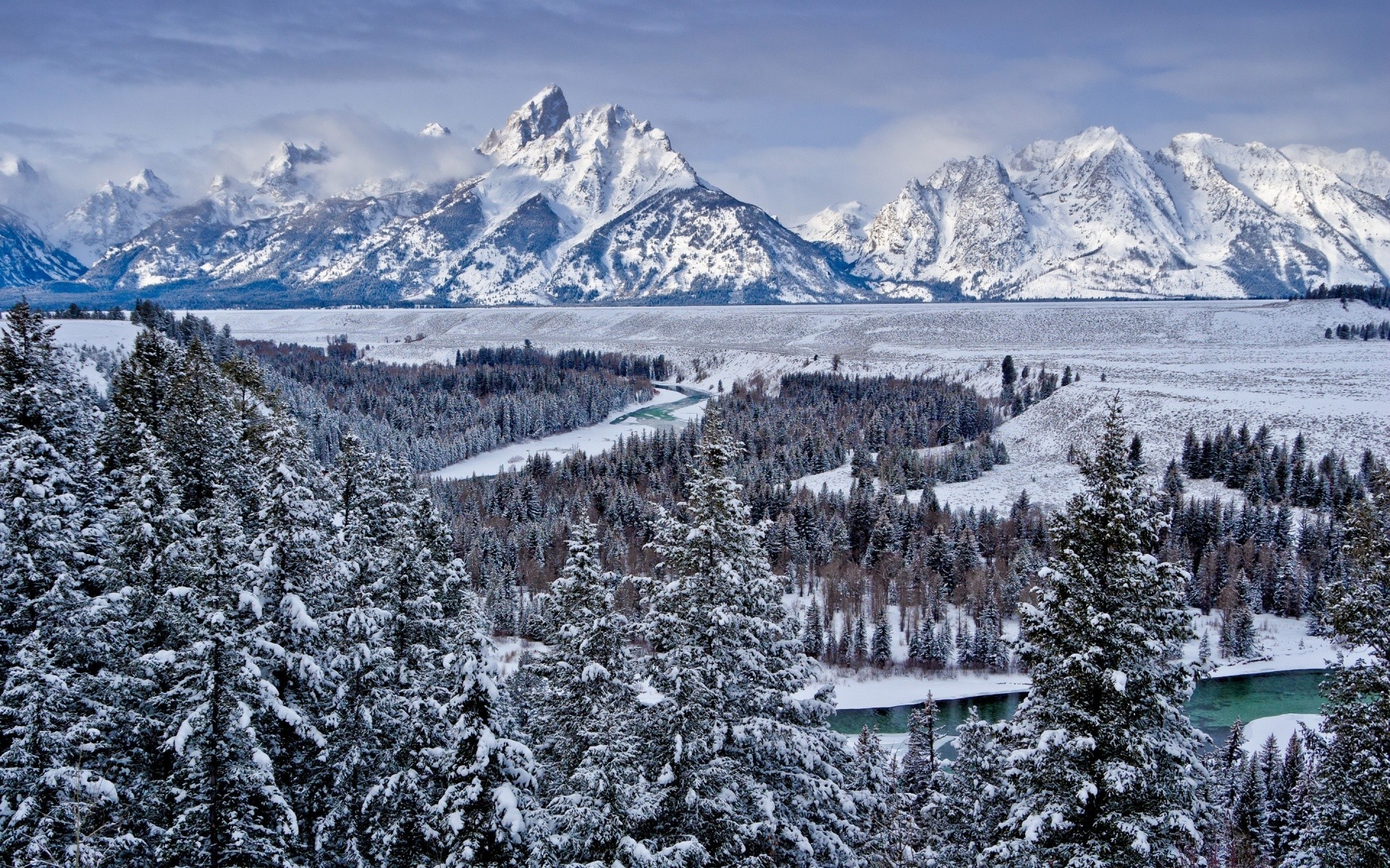 hiver neige froid montagnes glace congelé neigeux gel bois paysage scénique saison pic de montagne alpine evergreen bois givré vallée enneigé panorama