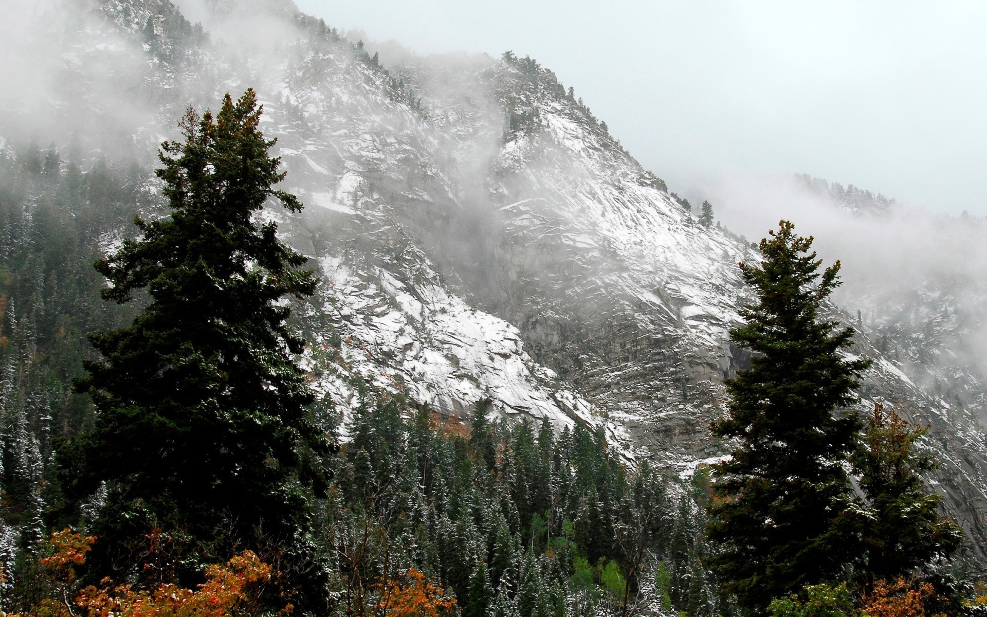 winter landschaft baum berge schnee holz im freien nebel evergreen nadelbaum natur landschaftlich reisen himmel nebel