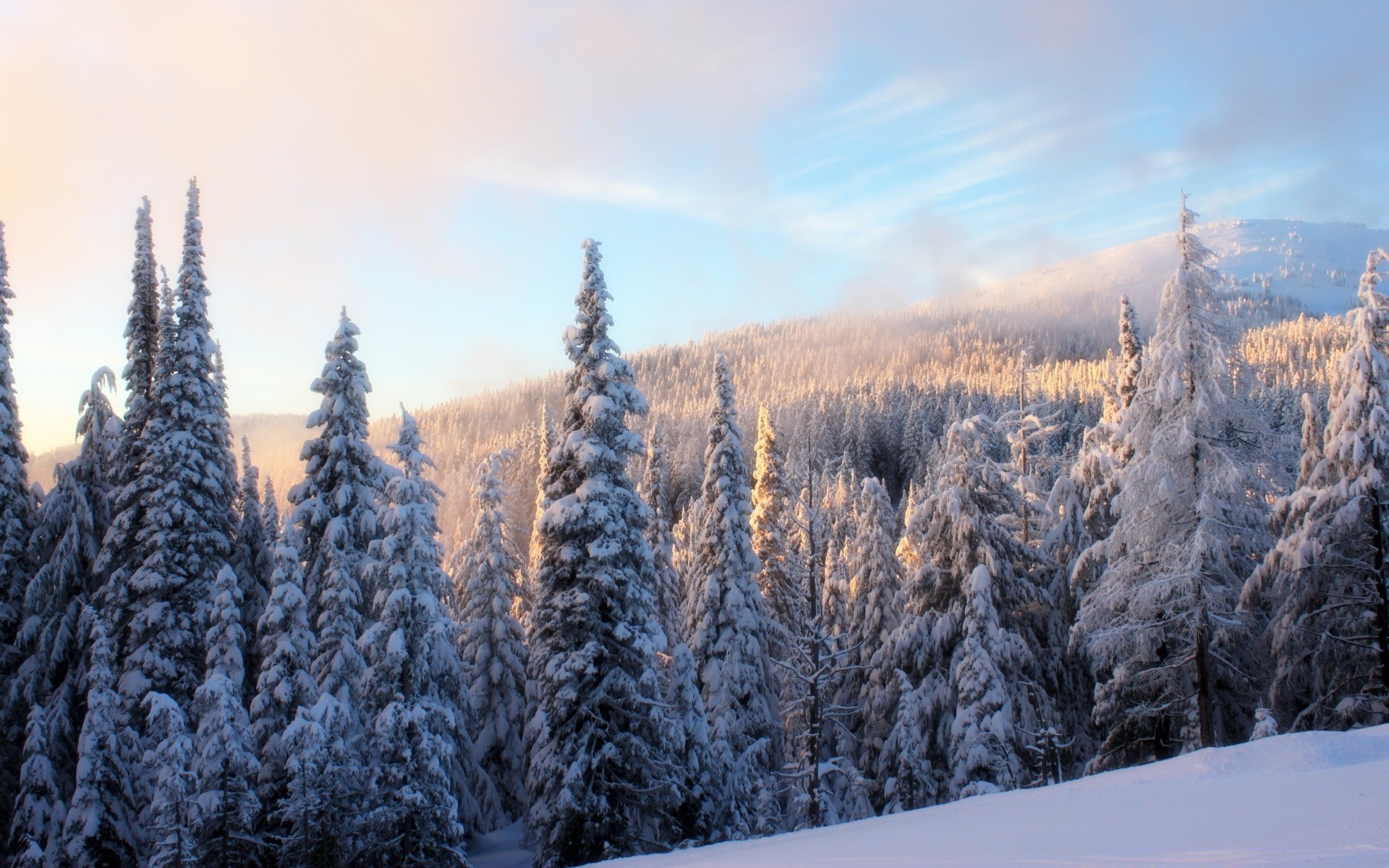 winter snow wood frost cold mountain frozen season tree scenic landscape ice weather evergreen nature pine snowy fair weather conifer