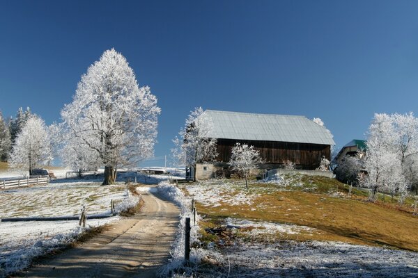 Winter house in a meadow with snow-covered trees