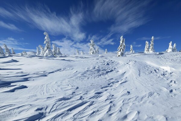 La nieve blanca yace en las montañas