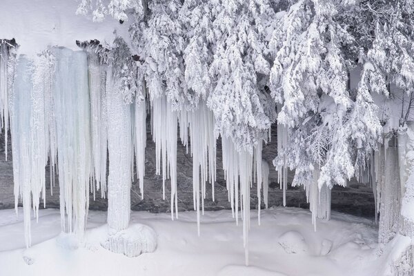 Carámbanos de invierno de plata mágica