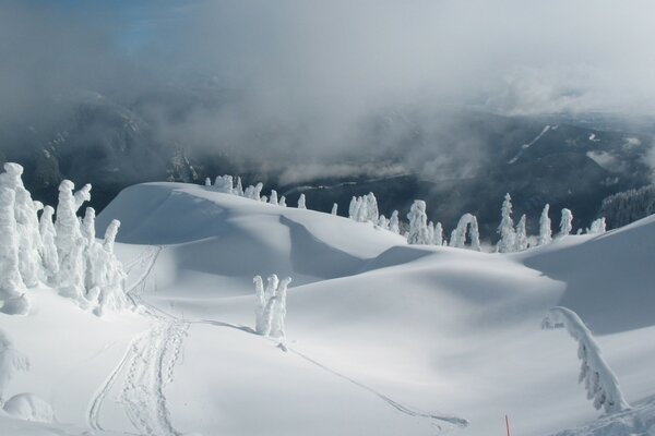 Snowy expanses among the roughness of the mountains