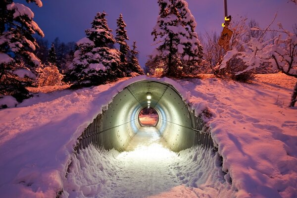 Snow in a tunnel in a winter forest