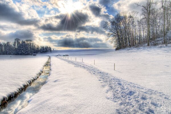 Camino de invierno en medio de las nubes