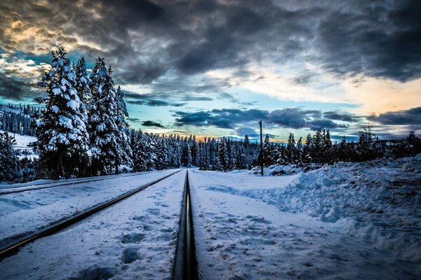 Schneebedeckte Wälder und Eisenbahnschienen