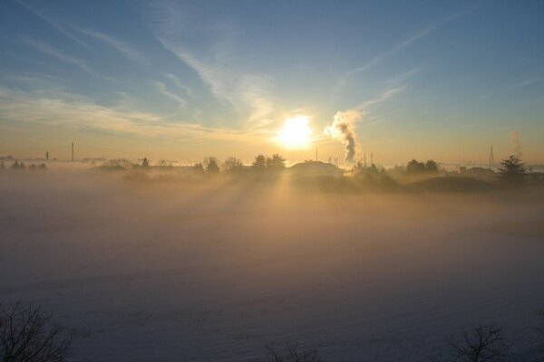 Sunrise. Frosty morning. Winter nature