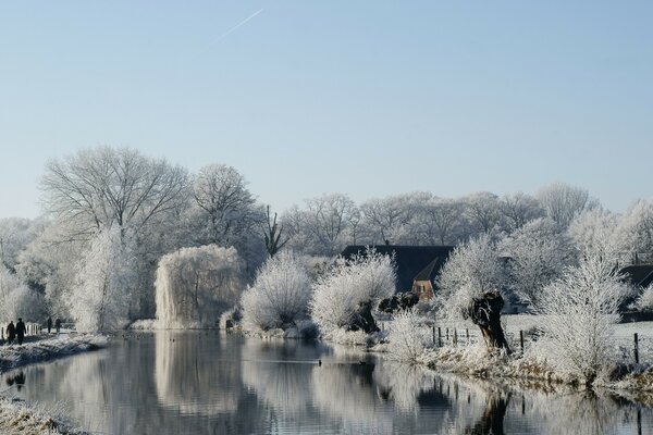 Winter holidays. Winter manor. Park