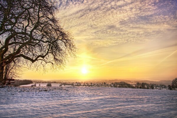 Amanecer sobre el campo de invierno