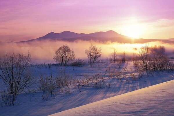 Dawn in the winter expanses of nature