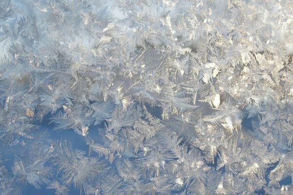 Winter beautiful frost pattern on the glass