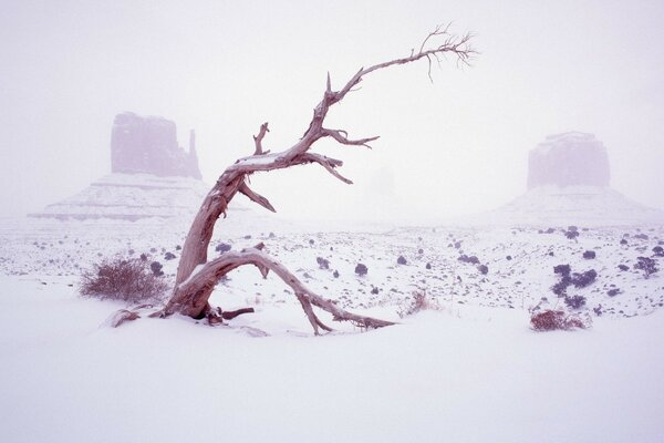 Karyag in legno sullo sfondo della natura innevata