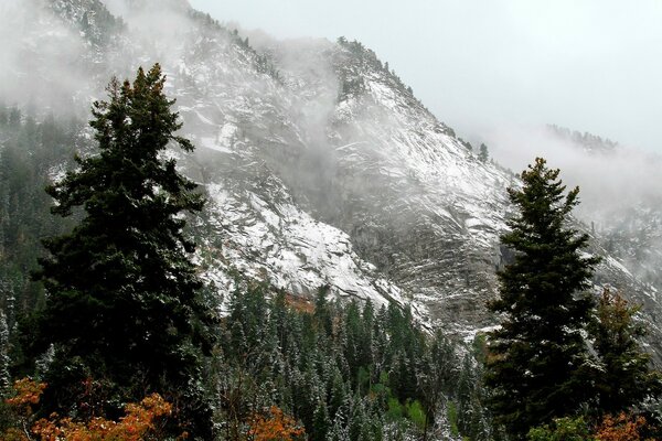 Paesaggio di montagne invernali e alberi