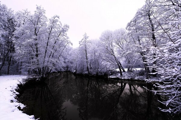 Lac d hiver. Eau. Parc