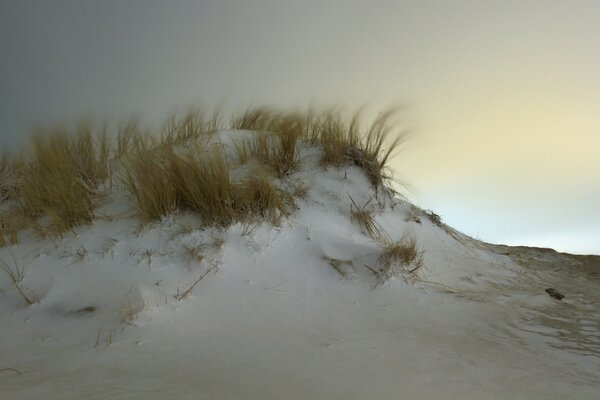 A snow-covered hill with grass in the fog