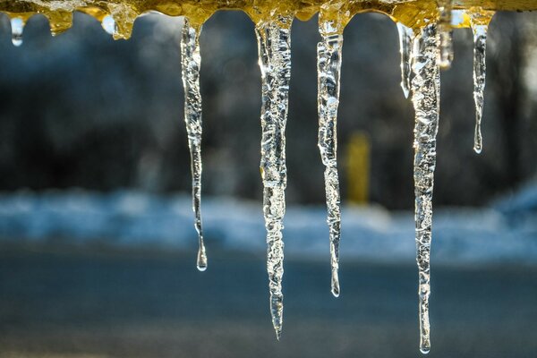 Drops from icicles dripping