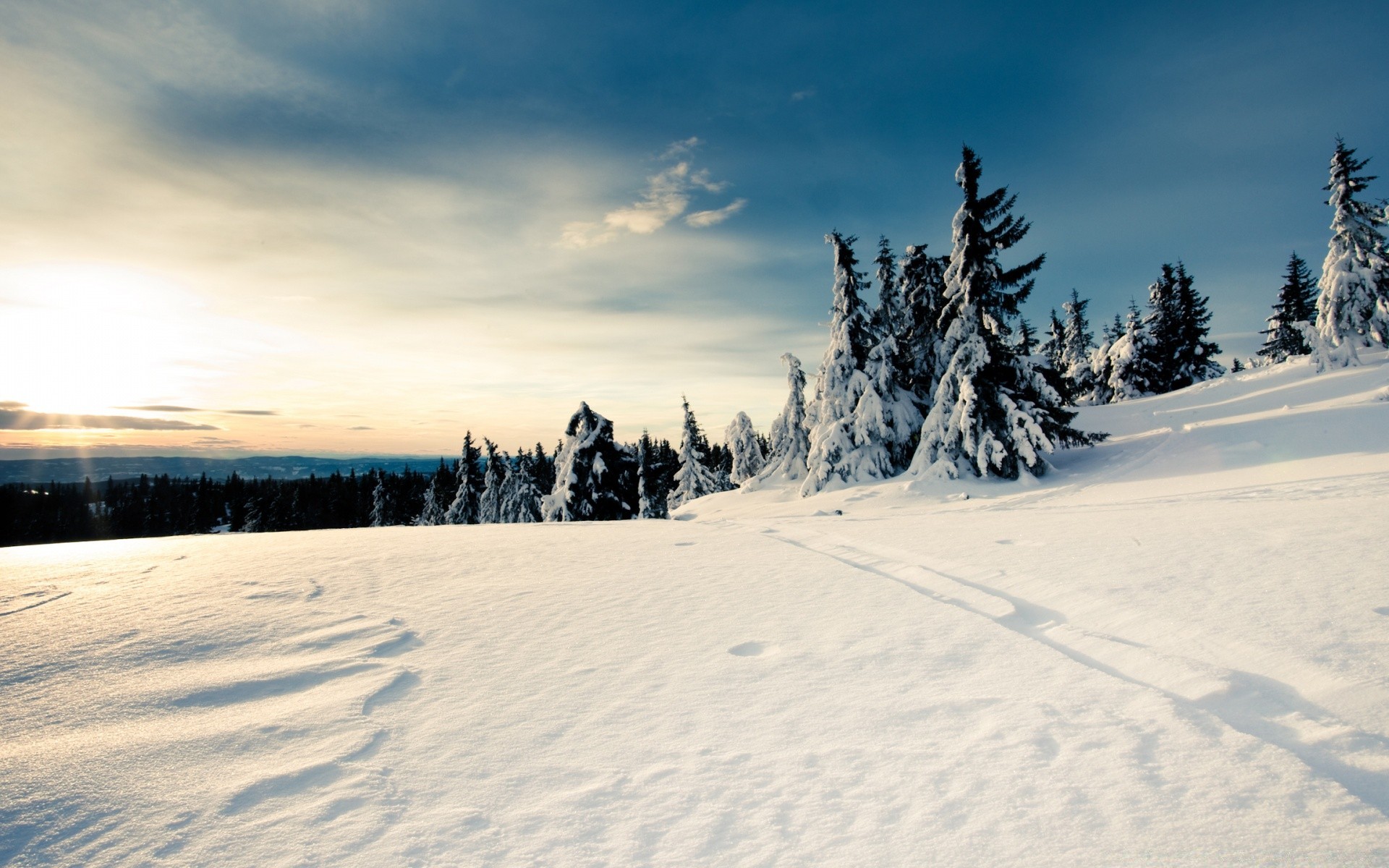 inverno neve freddo gelo congelato paesaggio ghiaccio scenico tempo legno legno resort montagna stagione bel tempo pista natura