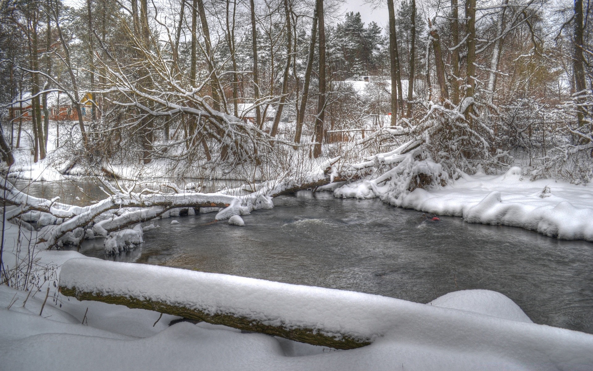 zima śnieg zimny mrożony lód mróz krajobraz natura drzewo drewno sezon rzeka pogoda strumień wody lodowy malowniczy park