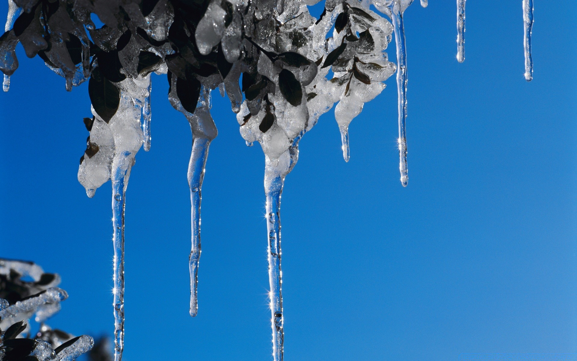 winter eiszapfen frost schnee kälte eis natur gefroren im freien hängen fallen himmel frostig wetter