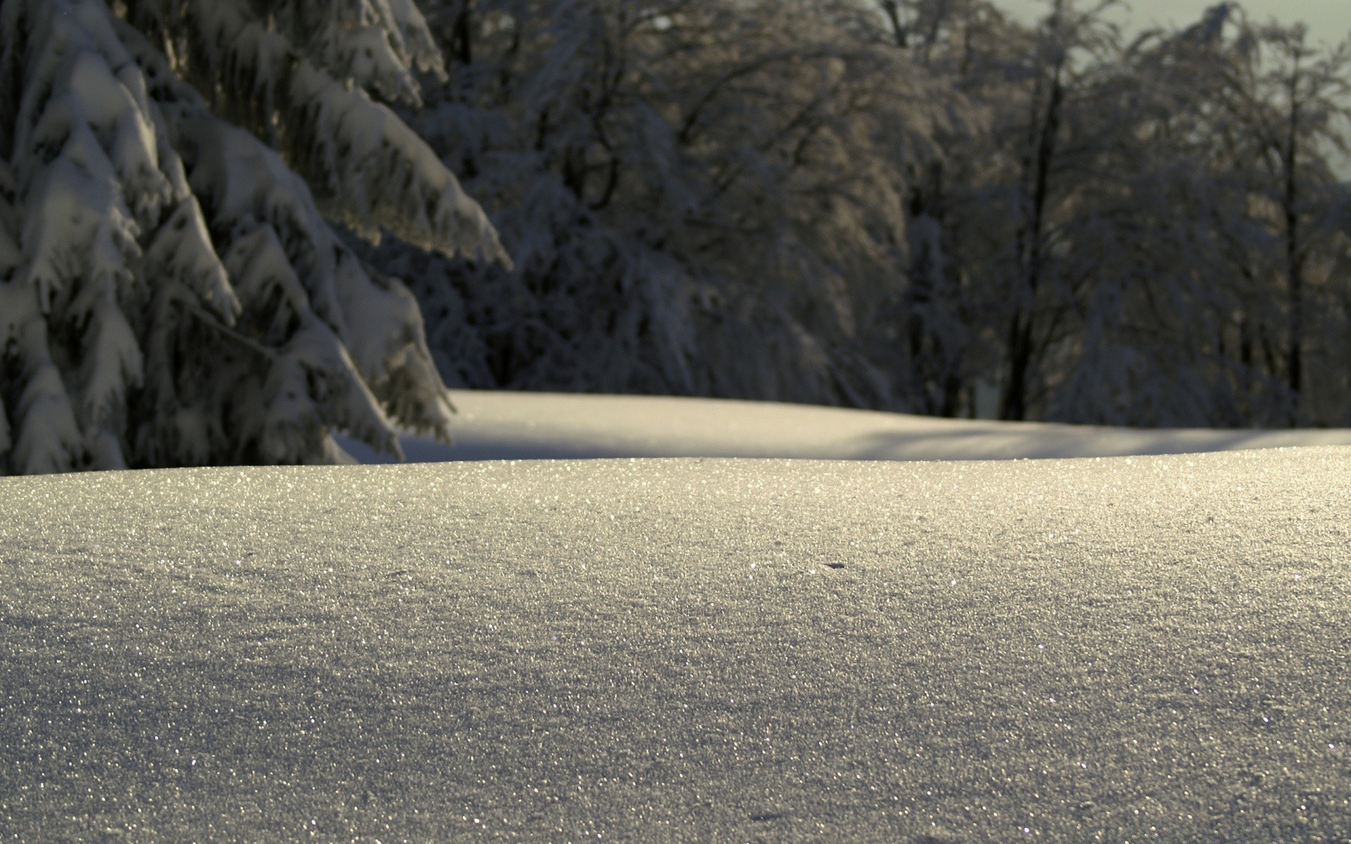 winter landscape road snow travel guidance nature shadow daylight tree outdoors highway desert ice cold drive asphalt