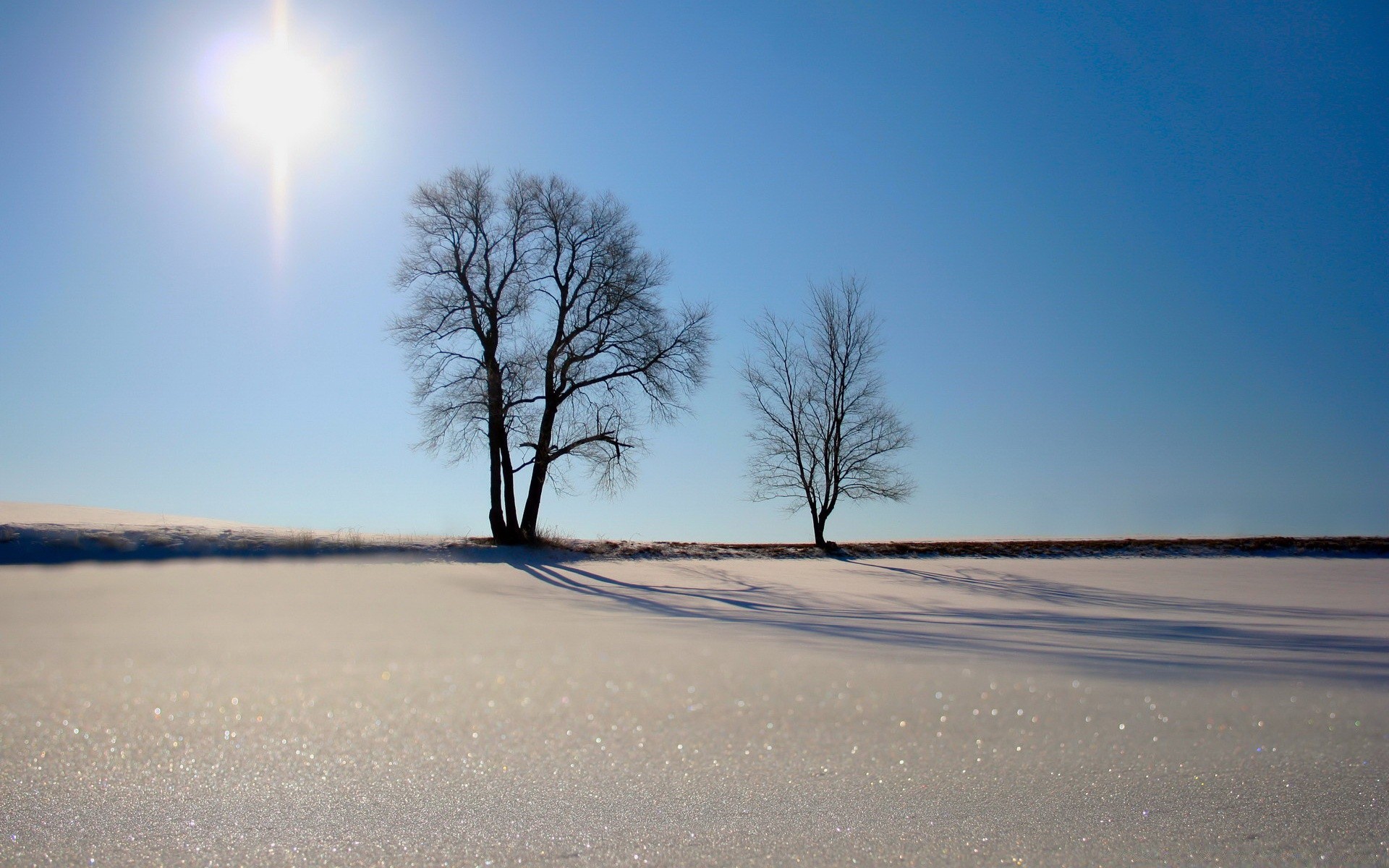 hiver paysage soleil nature aube ciel plage coucher de soleil beau temps arbre