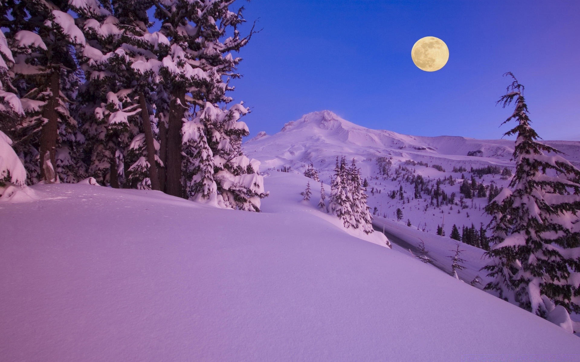 winter snow cold mountain scenic tree wood landscape frost season weather frozen resort evergreen daylight hill