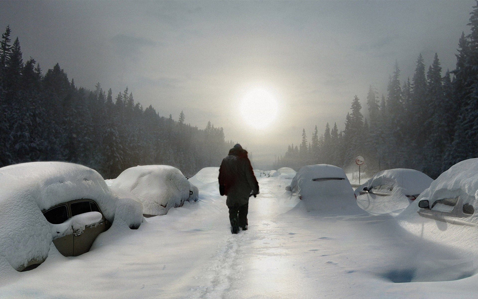 kış kar soğuk buz donmuş frost hava durumu manzara kar yığını kar fırtınası dağlar ahşap ayaz ağaç