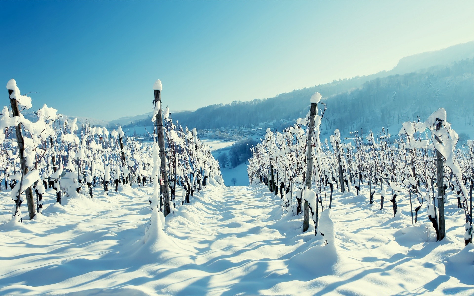 winter schnee kälte eis frost berge gefroren