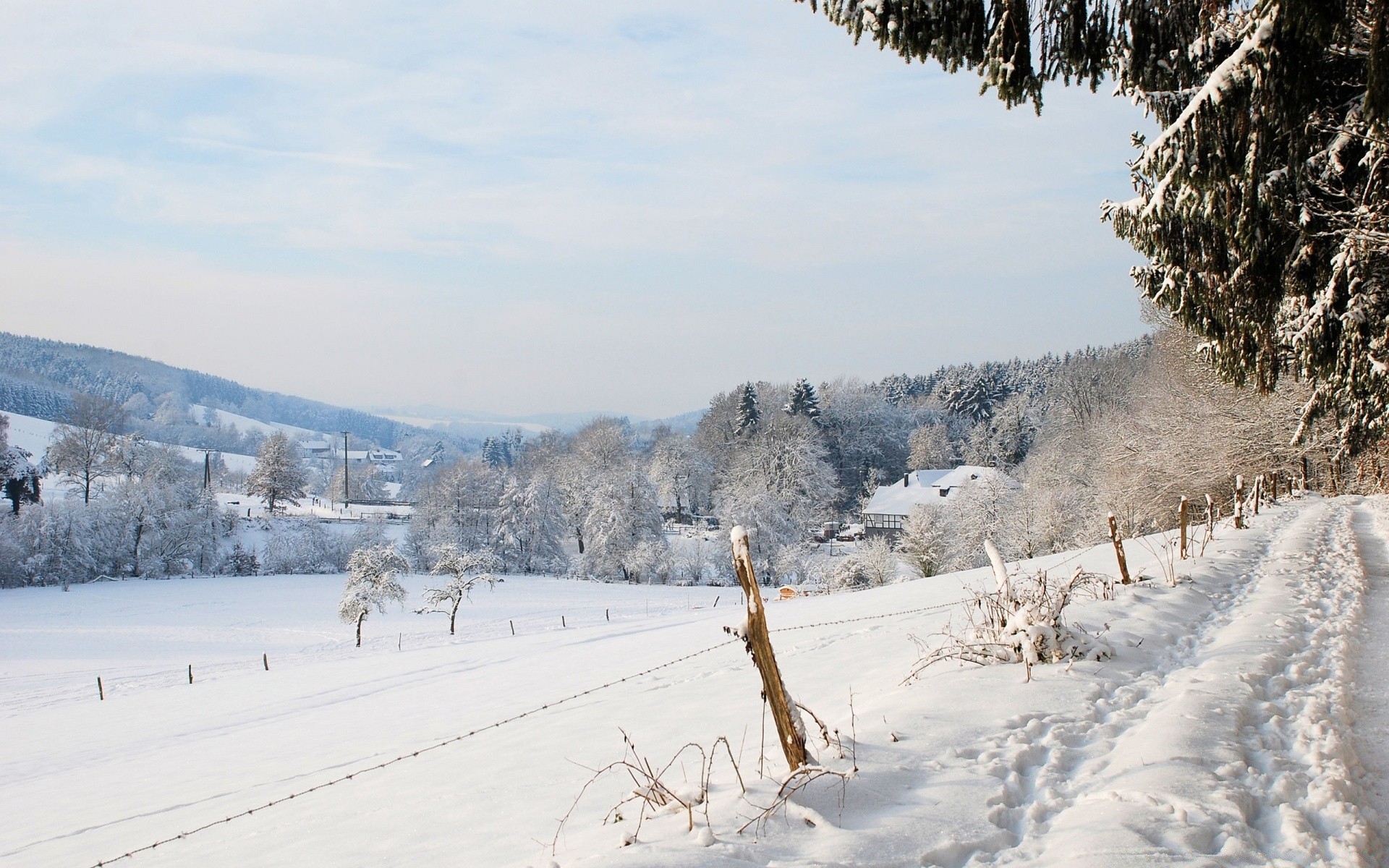 inverno neve freddo albero gelo congelato tempo ghiaccio paesaggio legno stagione scenico montagna resort natura