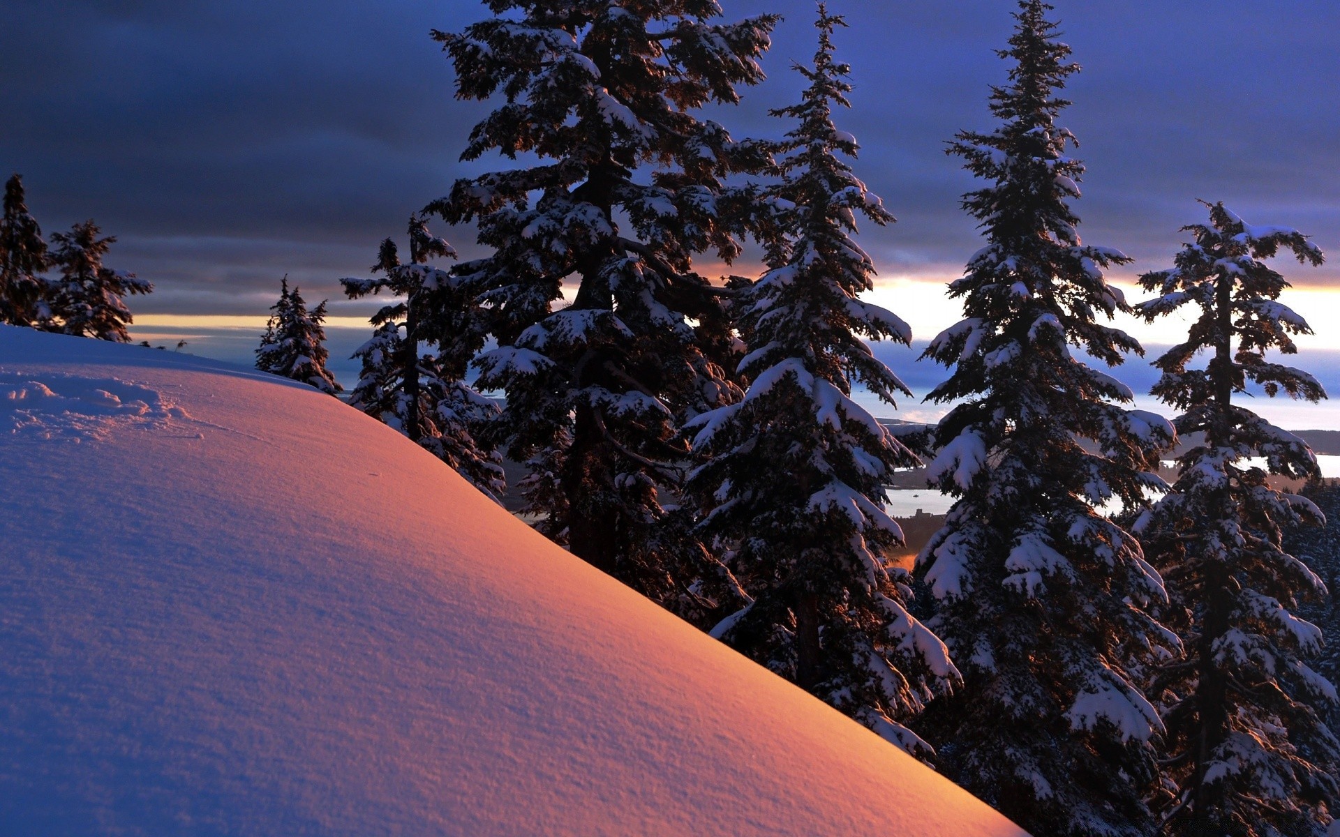 inverno neve montagna paesaggio albero conifere evergreen freddo scenic legno luce del giorno all aperto viaggi ghiaccio cielo