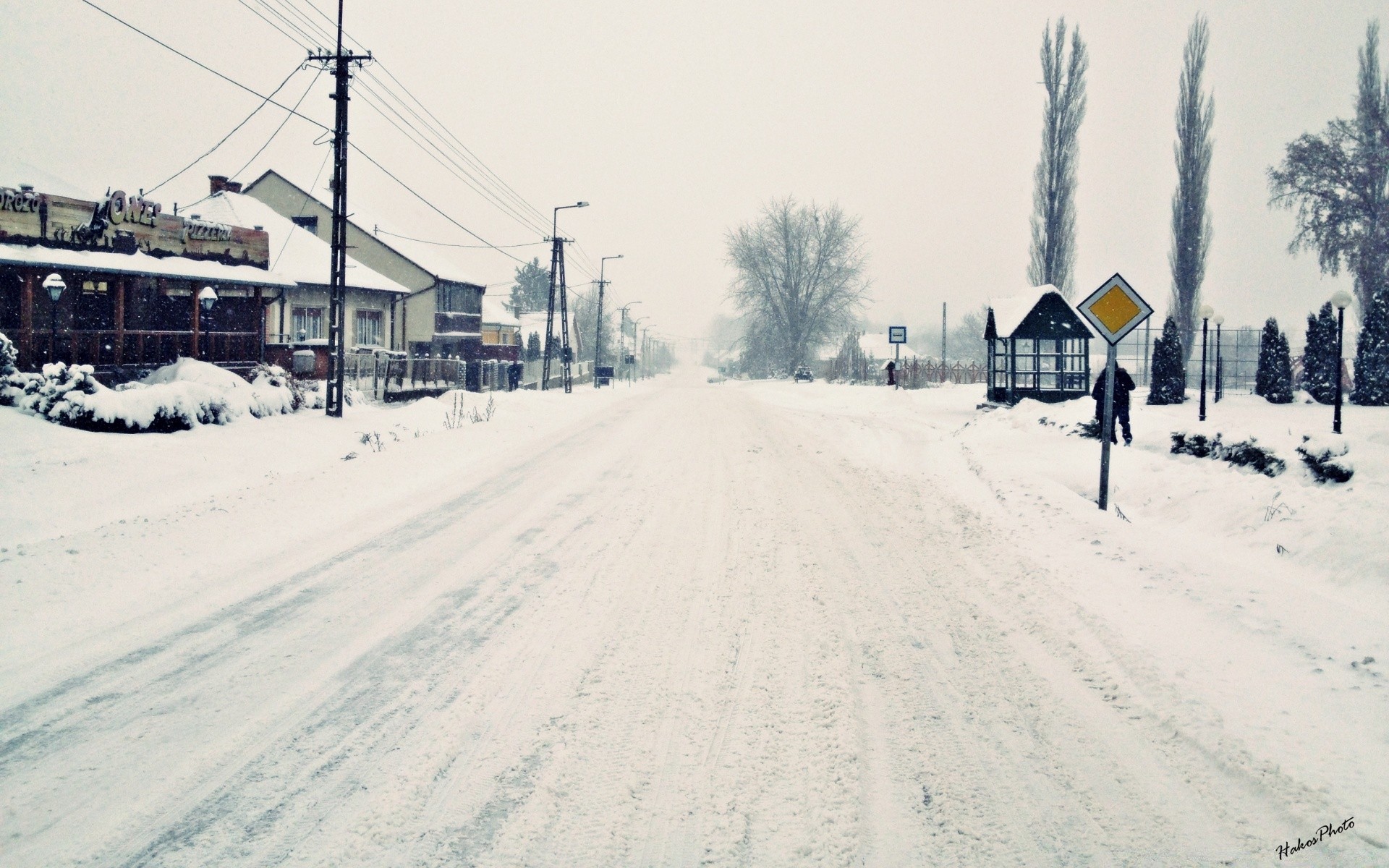 inverno neve freddo congelato meteo gelo ghiaccio paesaggio pista tempesta di neve stagione all aperto legno luce del giorno sistema di trasporto ambiente