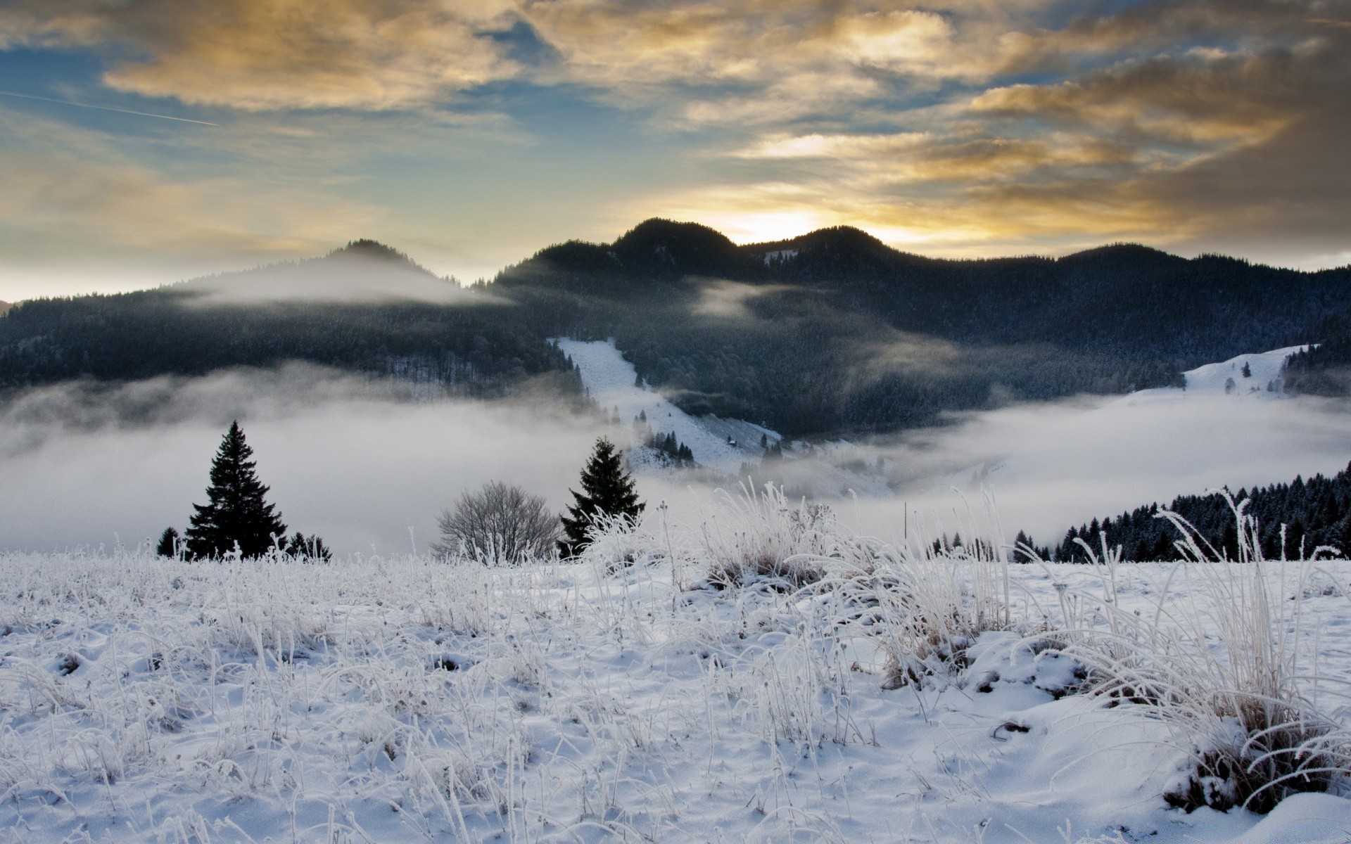 winter snow mountain landscape cold scenic ice nature outdoors wood fog sky