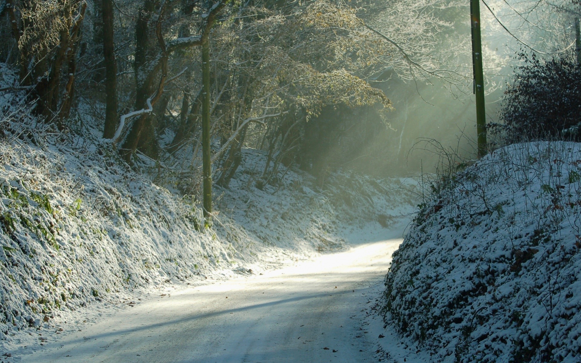 inverno paisagem natureza água madeira madeira ao ar livre viagens neve ambiente frio tempo