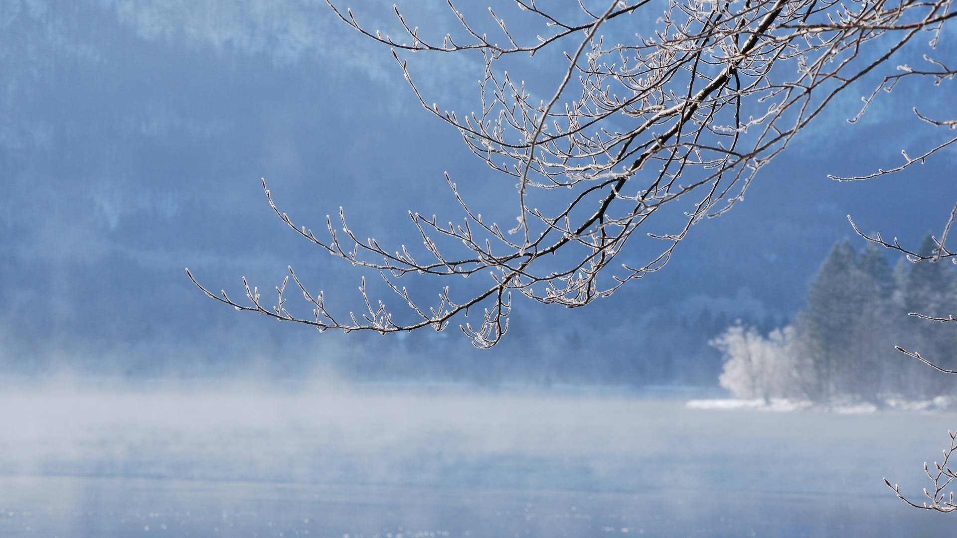 winter snow landscape sky weather nature cold ice tree outdoors daylight frost fog fair weather dawn frozen travel water scenic