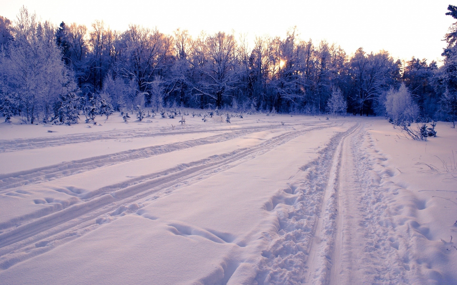 winter schnee kälte frost gefroren wetter jahreszeit landschaft eis holz landschaftlich frostig baum spur schneesturm verschneit schneewehe schneeweiß