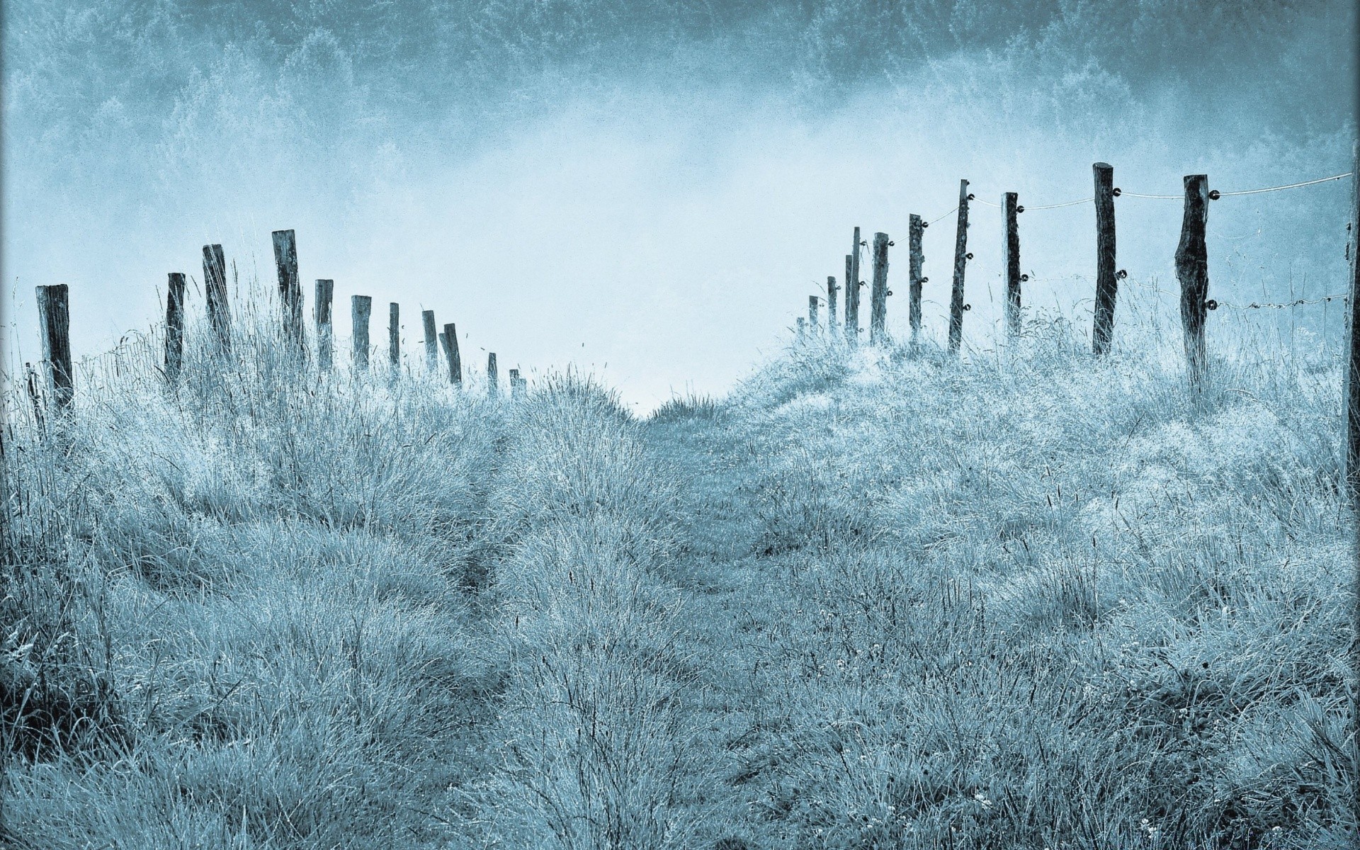 invierno nieve escarcha frío paisaje tiempo congelado niebla naturaleza al aire libre árbol temporada madera cielo niebla