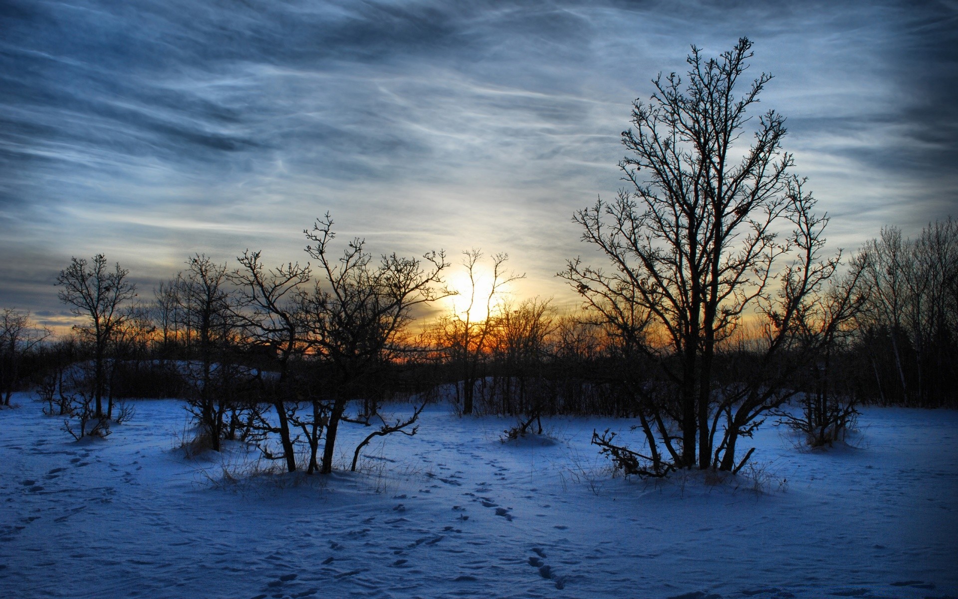 winter nature tree landscape dawn wood sunset outdoors fall fair weather evening sky sun weather fog dusk countryside rural light