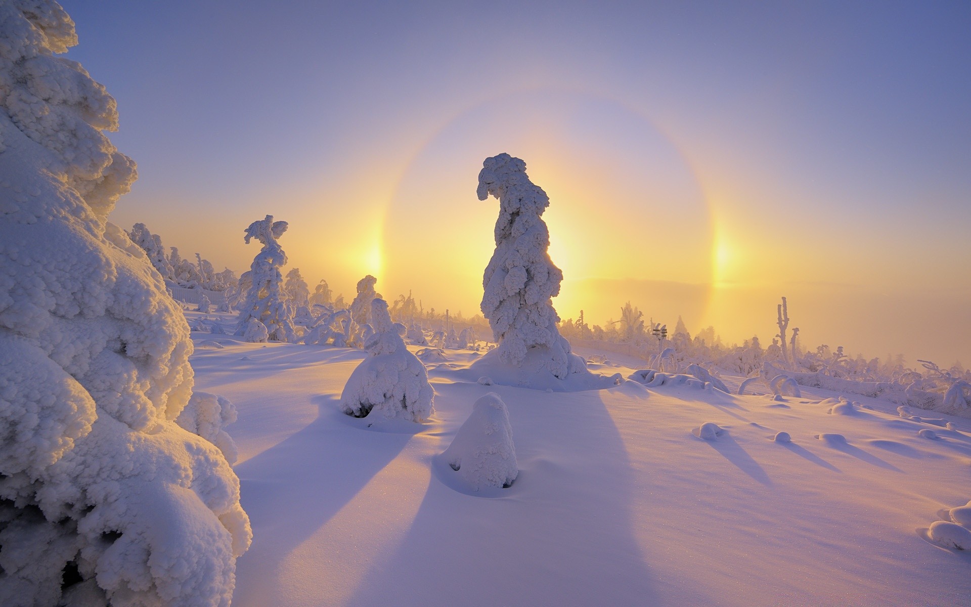 winter schnee frost kälte landschaft wetter gefroren sonnenuntergang eis dämmerung natur himmel licht gutes wetter abend sonne baum im freien landschaftlich reizvoll