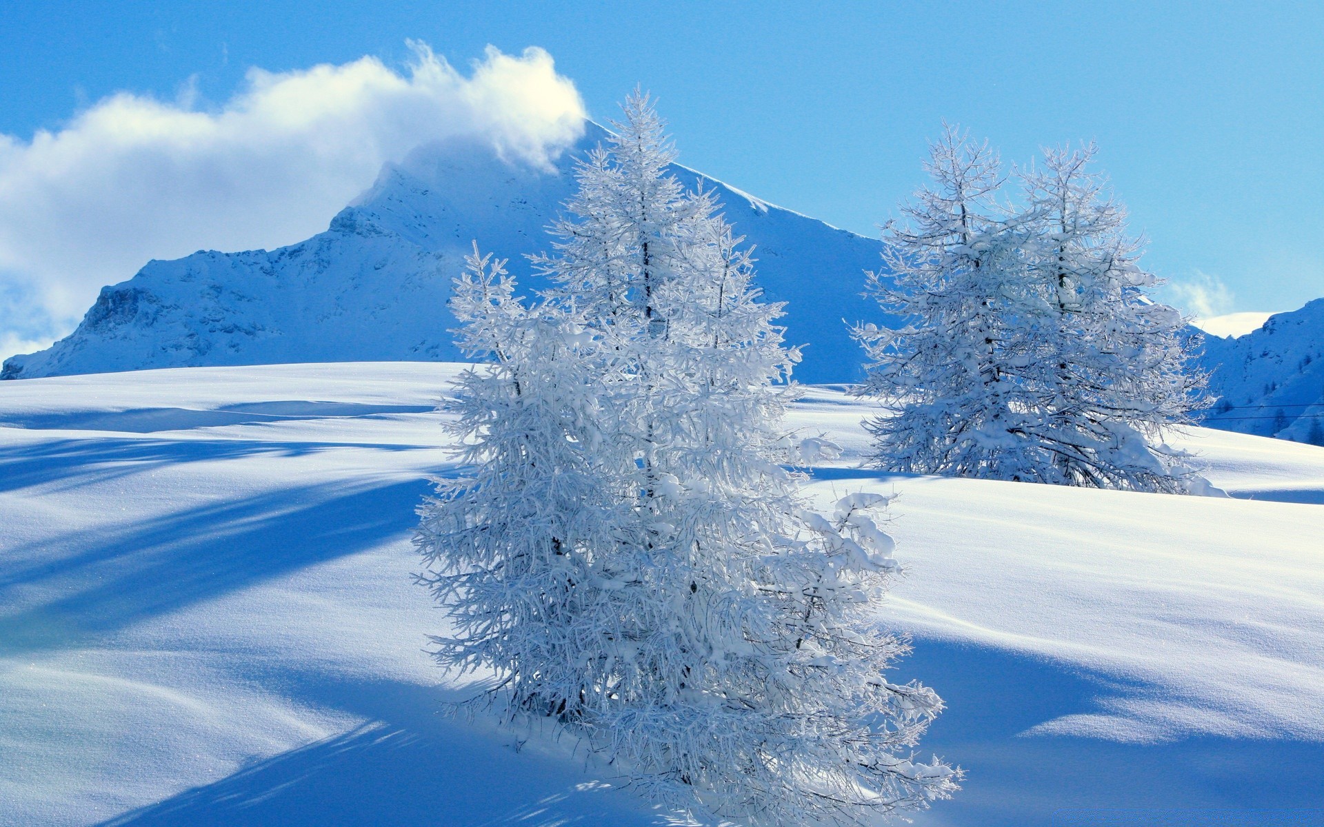 winter snow cold frost ice mountain scenic landscape frozen fair weather wood season weather frosty nature snowy