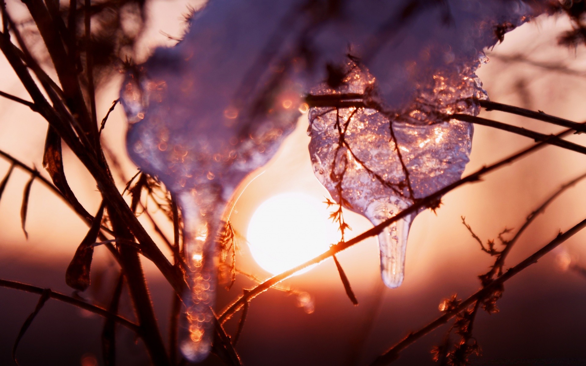 winter morgendämmerung licht sonne natur sonnenuntergang zweig baum schnee himmel eis weihnachten