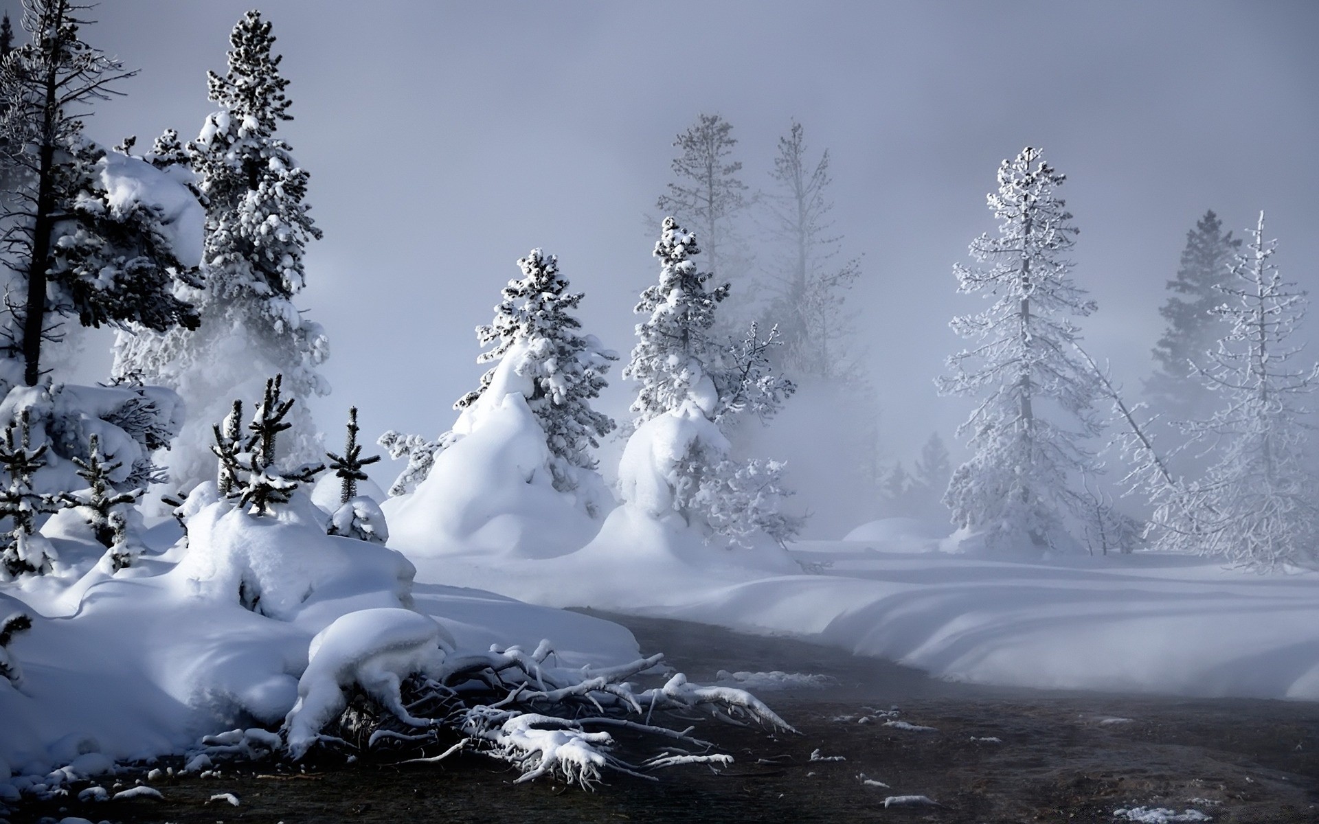 inverno neve frio gelo geada congelado paisagem madeira montanha cênica natureza árvore tempo gelado ao ar livre temporada